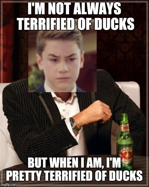 I'M NOT ALWAYS TERRIFIED OF DUCKS; BUT WHEN I AM, I'M PRETTY TERRIFIED OF DUCKS | image tagged in the most interesting man in the world | made w/ Imgflip meme maker