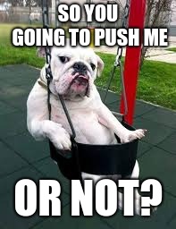 Mans best friend | SO YOU GOING TO PUSH ME; OR NOT? | image tagged in swing,bad pun dog | made w/ Imgflip meme maker