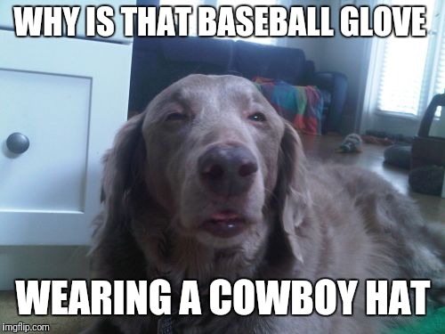 High Dog Meme | WHY IS THAT BASEBALL GLOVE WEARING A COWBOY HAT | image tagged in memes,high dog | made w/ Imgflip meme maker