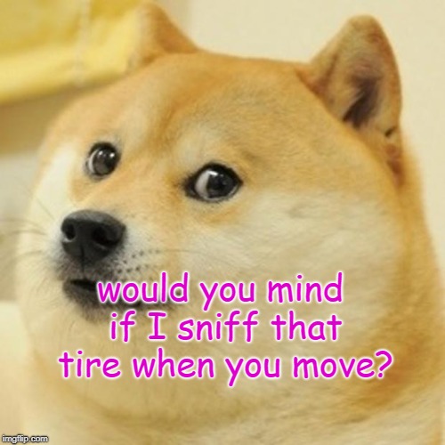 Doge Meme | would you mind if I sniff that tire when you move? | image tagged in memes,doge | made w/ Imgflip meme maker