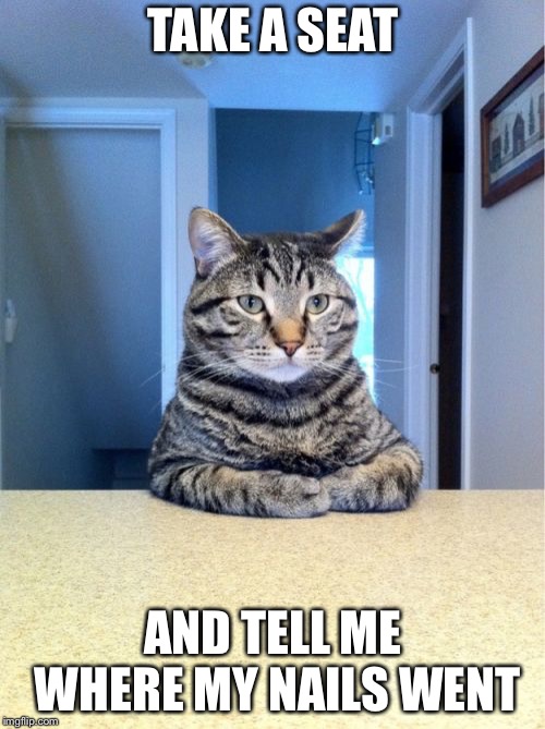 Take A Seat Cat | TAKE A SEAT; AND TELL ME WHERE MY NAILS WENT | image tagged in memes,take a seat cat | made w/ Imgflip meme maker