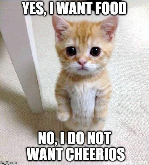 Cute Cat Meme | YES, I WANT FOOD; NO, I DO NOT WANT CHEERIOS | image tagged in memes,cute cat | made w/ Imgflip meme maker