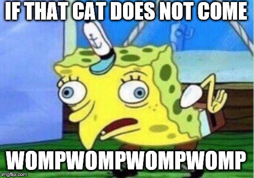 IF THAT CAT DOES NOT COME WOMPWOMPWOMPWOMP | image tagged in memes,mocking spongebob | made w/ Imgflip meme maker