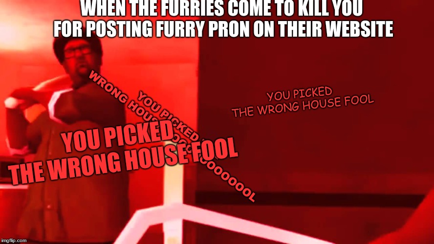 YOU PICKED THE WRONG HOUSE FOOL | WHEN THE FURRIES COME TO KILL YOU FOR POSTING FURRY PRON ON THEIR WEBSITE; YOU PICKED THE WRONG HOUSE FOOL; YOU PICKED THE WRONG HOUSE FOOOOOOOOOOOL; YOU PICKED THE WRONG HOUSE FOOL | image tagged in you picked the wrong house fool | made w/ Imgflip meme maker