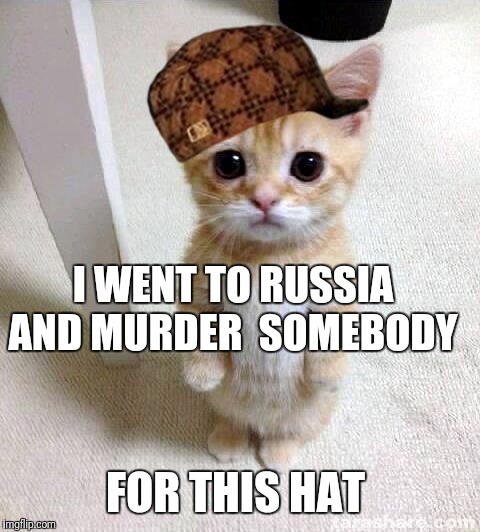 Cute Cat Meme | I WENT TO RUSSIA AND MURDER 
SOMEBODY; FOR THIS HAT | image tagged in memes,cute cat,scumbag | made w/ Imgflip meme maker