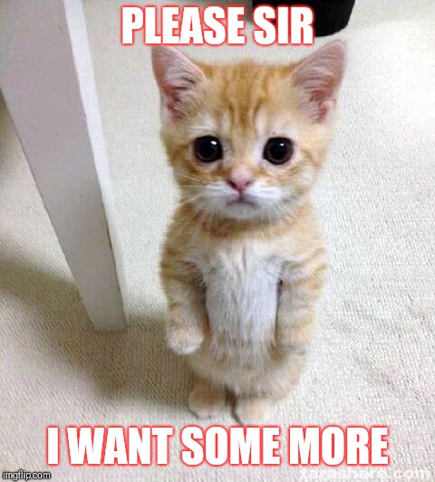 Cute Cat Meme | PLEASE SIR; I WANT SOME MORE | image tagged in memes,cute cat | made w/ Imgflip meme maker