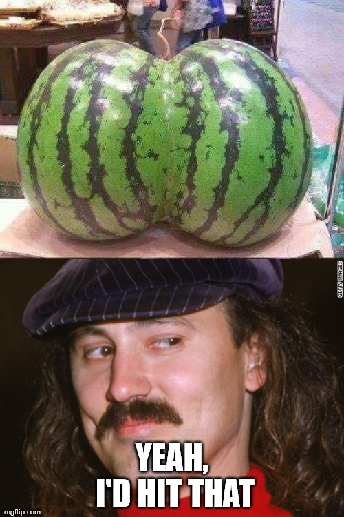 Gallagher loves him some mellon | YEAH, I'D HIT THAT | image tagged in melon | made w/ Imgflip meme maker