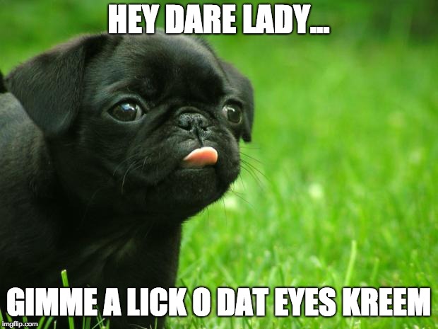 Derpy Puppy! | HEY DARE LADY... GIMME A LICK O DAT EYES KREEM | image tagged in derpy puppy | made w/ Imgflip meme maker