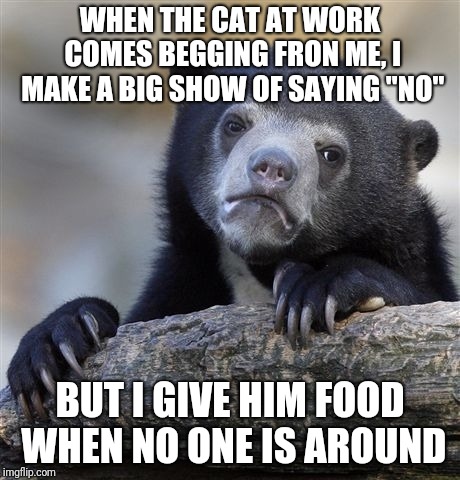 Confession Bear | WHEN THE CAT AT WORK COMES BEGGING FRON ME, I MAKE A BIG SHOW OF SAYING "NO"; BUT I GIVE HIM FOOD WHEN NO ONE IS AROUND | image tagged in memes,confession bear | made w/ Imgflip meme maker