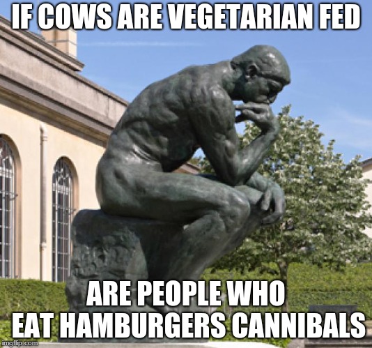 important questions | IF COWS ARE VEGETARIAN FED; ARE PEOPLE WHO EAT HAMBURGERS CANNIBALS | image tagged in memes | made w/ Imgflip meme maker