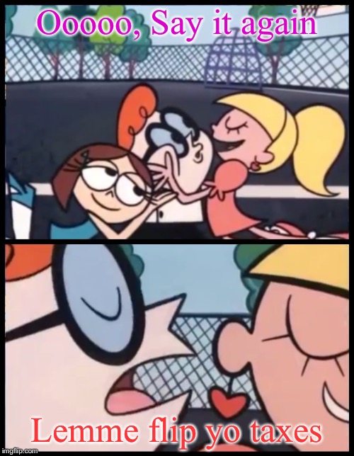 Say it Again, Dexter | Ooooo, Say it again; Lemme flip yo taxes | image tagged in say it again dexter | made w/ Imgflip meme maker