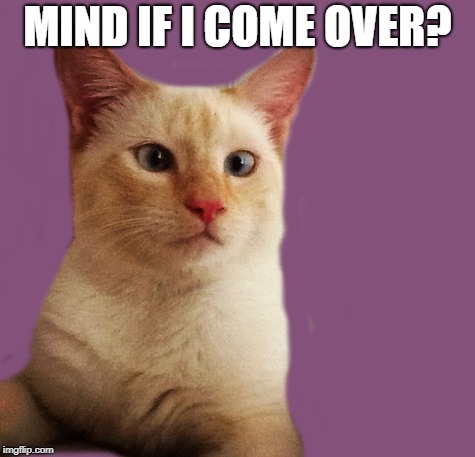 MIND IF I COME OVER? | made w/ Imgflip meme maker