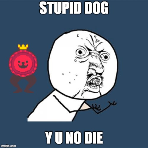 Y U No | STUPID DOG; Y U NO DIE | image tagged in memes,y u no | made w/ Imgflip meme maker