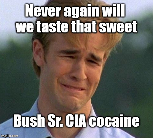 1990s First World Problems | Never again will we taste that sweet; Bush Sr. CIA cocaine | image tagged in memes,1990s first world problems | made w/ Imgflip meme maker