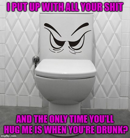 Better to be pissed off than pissed on right? | I PUT UP WITH ALL YOUR SHIT; AND THE ONLY TIME YOU'LL HUG ME IS WHEN YOU'RE DRUNK? | image tagged in angry toilet,memes,porcelain god,funny,pissed off,urine trouble | made w/ Imgflip meme maker