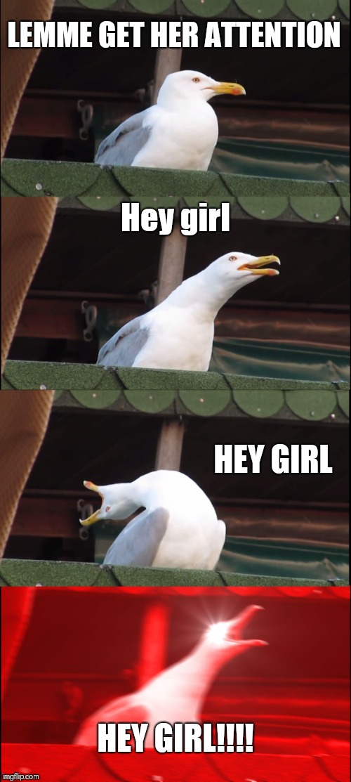 Inhaling Seagull | LEMME GET HER ATTENTION; Hey girl; HEY GIRL; HEY GIRL!!!! | image tagged in memes,inhaling seagull | made w/ Imgflip meme maker