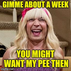 Sara Ew Jimmy Fallon | GIMME ABOUT A WEEK YOU MIGHT WANT MY PEE THEN | image tagged in sara ew jimmy fallon | made w/ Imgflip meme maker