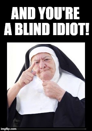 nun | AND YOU'RE A BLIND IDIOT! | image tagged in nun | made w/ Imgflip meme maker