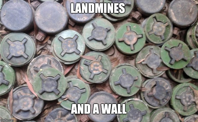LANDMINES | LANDMINES AND A WALL | image tagged in landmines | made w/ Imgflip meme maker