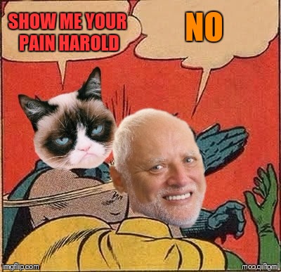 Grumpy Slapping Harold | NO; SHOW ME YOUR PAIN HAROLD | image tagged in memes,funny,batman slapping robin,hide the pain harold,grumpy cat,44colt | made w/ Imgflip meme maker