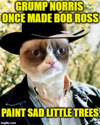 Grump Norris | GRUMP NORRIS ONCE MADE BOB ROSS; PAINT SAD LITTLE TREES | image tagged in funny memes,grumpy cat,cat,chuck norris,grumpy,cats | made w/ Imgflip meme maker