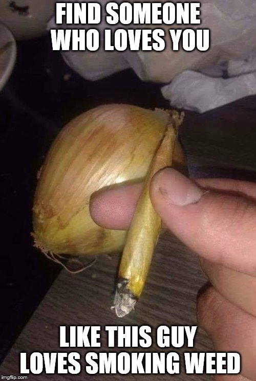Onion Love  | FIND SOMEONE WHO LOVES YOU; LIKE THIS GUY LOVES SMOKING WEED | image tagged in funny,onion,marijuana,cannabis,love,joint | made w/ Imgflip meme maker