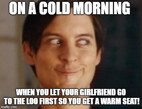 Spiderman Peter Parker | ON A COLD MORNING; WHEN YOU LET YOUR GIRLFRIEND GO TO THE LOO FIRST SO YOU GET A WARM SEAT! | image tagged in memes,spiderman peter parker | made w/ Imgflip meme maker
