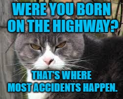 Surely you couldn't have been on purpose.  | WERE YOU BORN ON THE HIGHWAY? THAT'S WHERE MOST ACCIDENTS HAPPEN. | image tagged in rude,grumpy cat,insults,funny cat memes,cats | made w/ Imgflip meme maker