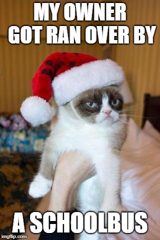 Merry Meowmas! | MY OWNER GOT RAN OVER BY; A SCHOOLBUS | image tagged in memes,grumpy cat christmas,grumpy cat | made w/ Imgflip meme maker