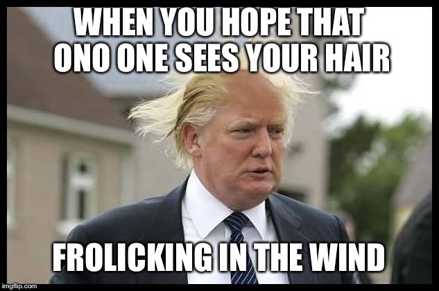 WHEN YOU HOPE THAT ONO ONE SEES YOUR HAIR; FROLICKING IN THE WIND | made w/ Imgflip meme maker