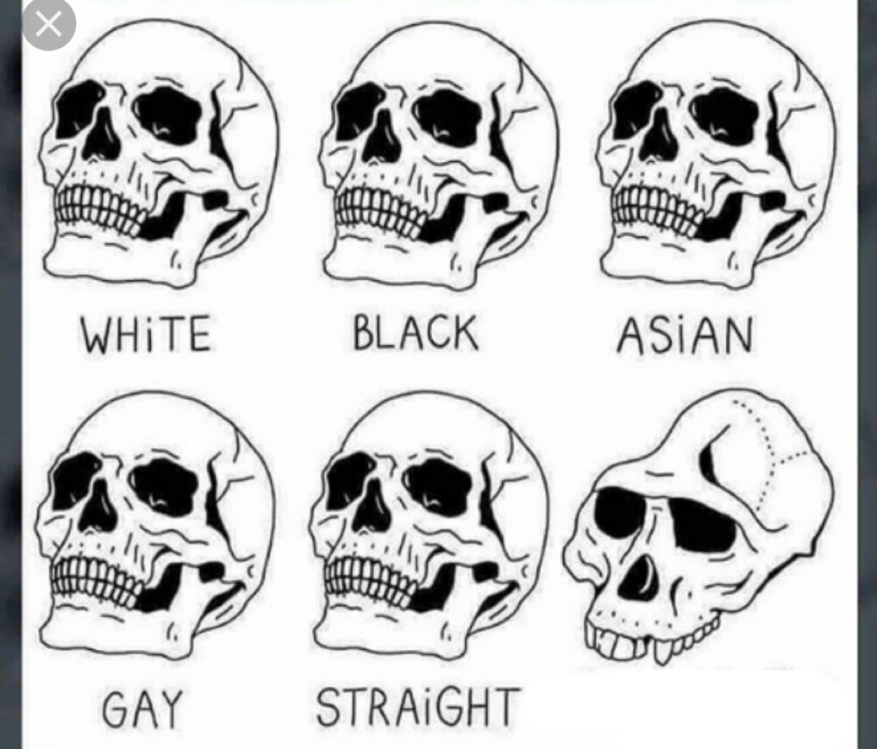 White Black Asian Gay Straight skull template Blank Meme Template