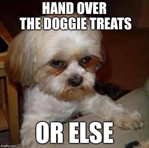 HAND OVER THE DOGGIE TREATS; OR ELSE | made w/ Imgflip meme maker