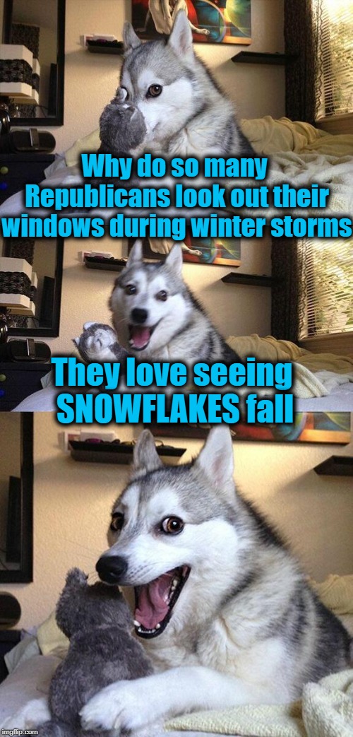 Bad Pun Dog | Why do so many Republicans look out their windows during winter storms; They love seeing SNOWFLAKES fall | image tagged in memes,bad pun dog | made w/ Imgflip meme maker
