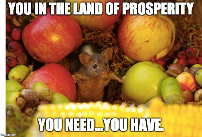 YOU IN THE LAND OF PROSPERITY; YOU NEED...YOU HAVE. | made w/ Imgflip meme maker