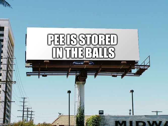 billboard blank | PEE IS STORED IN THE BALLS | image tagged in billboard blank | made w/ Imgflip meme maker
