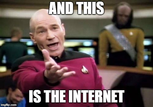 Picard Wtf Meme | AND THIS; IS THE INTERNET | image tagged in memes,picard wtf | made w/ Imgflip meme maker