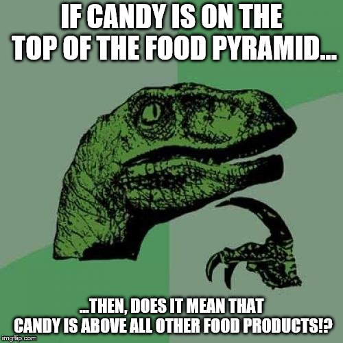 foood | IF CANDY IS ON THE TOP OF THE FOOD PYRAMID... ...THEN, DOES IT MEAN THAT CANDY IS ABOVE ALL OTHER FOOD PRODUCTS!? | image tagged in memes,philosoraptor | made w/ Imgflip meme maker