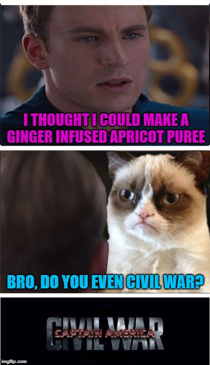 Civil War Fail | I THOUGHT I COULD MAKE A GINGER INFUSED APRICOT PUREE; BRO, DO YOU EVEN CIVIL WAR? | image tagged in funny memes,meme,captain america,grumpy,you're doing it wrong,marvel civil war | made w/ Imgflip meme maker