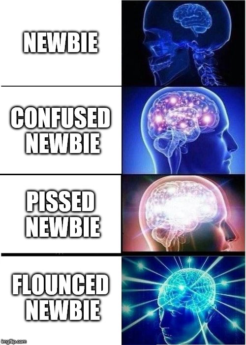 Expanding Brain Meme | NEWBIE; CONFUSED NEWBIE; PISSED NEWBIE; FLOUNCED NEWBIE | image tagged in memes,expanding brain | made w/ Imgflip meme maker