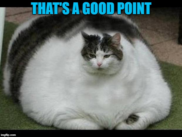 fat cat 2 | THAT'S A GOOD POINT | image tagged in fat cat 2 | made w/ Imgflip meme maker