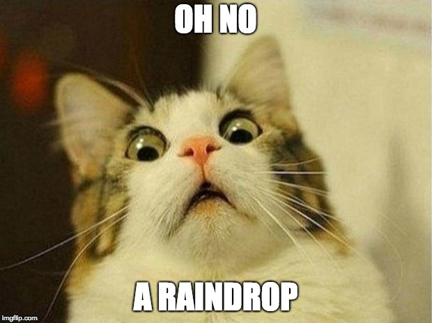 Scared Cat Meme | OH NO; A RAINDROP | image tagged in memes,scared cat | made w/ Imgflip meme maker