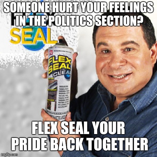 Hurt feelings? No problem!  | SOMEONE HURT YOUR FEELINGS IN THE POLITICS SECTION? FLEX SEAL YOUR PRIDE BACK TOGETHER | image tagged in flex seal,politics | made w/ Imgflip meme maker