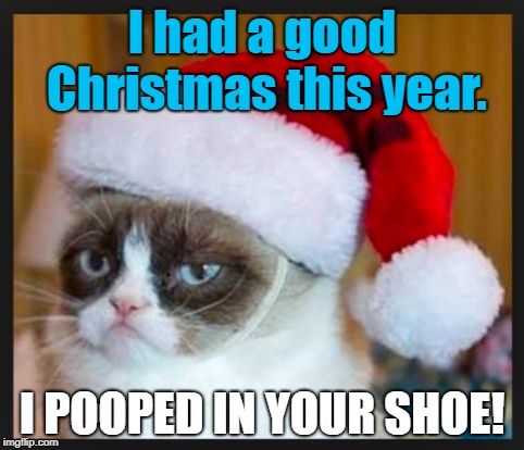 I had a good Christmas this year. I POOPED IN YOUR SHOE! | image tagged in grumpy cat | made w/ Imgflip meme maker