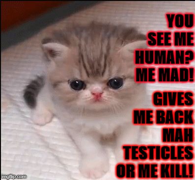 YOU SEE ME HUMAN? ME MAD! GIVES ME BACK MAH TESTICLES OR ME KILL! | image tagged in i'm angry | made w/ Imgflip meme maker