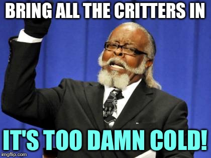 BRING ALL THE CRITTERS IN IT'S TOO DAMN COLD! | made w/ Imgflip meme maker