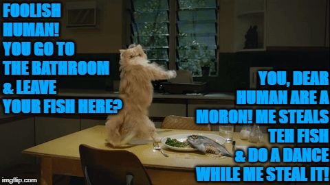 FOOLISH HUMAN! YOU GO TO THE BATHROOM & LEAVE YOUR FISH HERE? YOU, DEAR HUMAN ARE A MORON! ME STEALS TEH FISH & DO A DANCE WHILE ME STEAL IT! | image tagged in me steals it | made w/ Imgflip meme maker