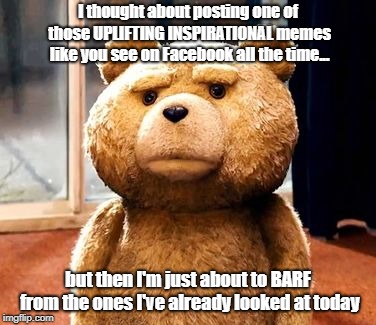 Ted Talks | I thought about posting one of those UPLIFTING INSPIRATIONAL memes like you see on Facebook all the time... but then I'm just about to BARF from the ones I've already looked at today | image tagged in memes,ted,facebook,pollyanna memes | made w/ Imgflip meme maker