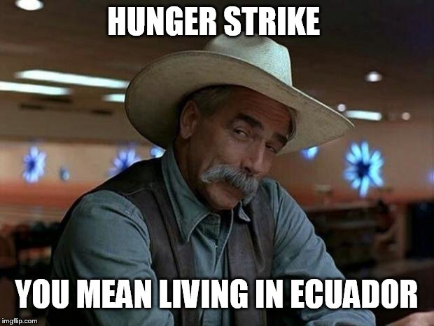 special kind of stupid | HUNGER STRIKE YOU MEAN LIVING IN ECUADOR | image tagged in special kind of stupid | made w/ Imgflip meme maker