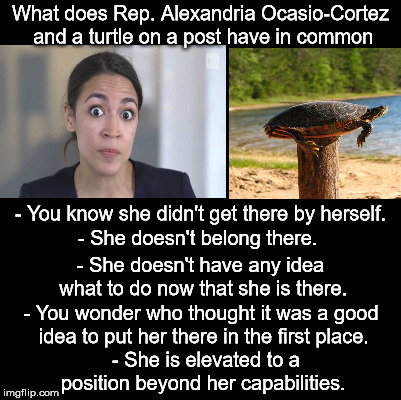 What happens when you raise to your highest level of incompetency. | What does Rep. Alexandria Ocasio-Cortez and a turtle on a post have in common; - You know she didn't get there by herself. - She doesn't belong there. - She doesn't have any idea what to do now that she is there. - You wonder who thought it was a good idea to put her there in the first place. - She is elevated to a position beyond her capabilities. | image tagged in blank | made w/ Imgflip meme maker