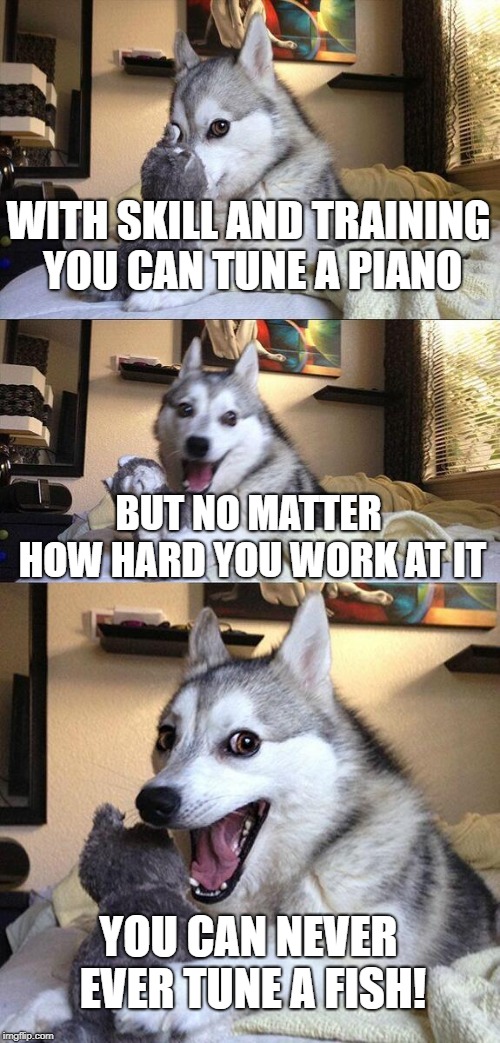 Bad Pun Dog Meme | WITH SKILL AND TRAINING YOU CAN TUNE A PIANO; BUT NO MATTER HOW HARD YOU WORK AT IT; YOU CAN NEVER EVER TUNE A FISH! | image tagged in memes,bad pun dog | made w/ Imgflip meme maker